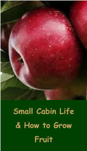 Small Cabin Life & How to Grow Fruit