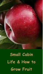 Small Cabin Life & How to Grow Fruit