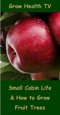 Small Cabin Life & How to Grow Fruit Trees Grow Health TV