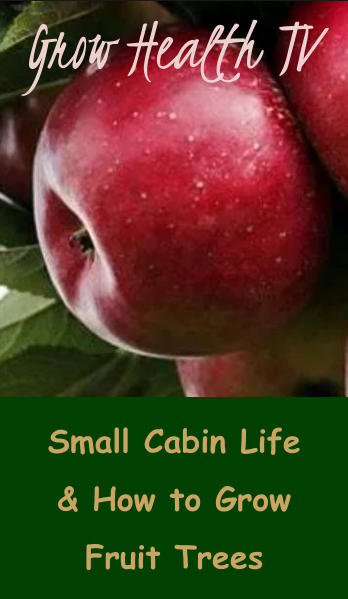 Small Cabin Life & How to Grow Fruit Trees Grow Health TV